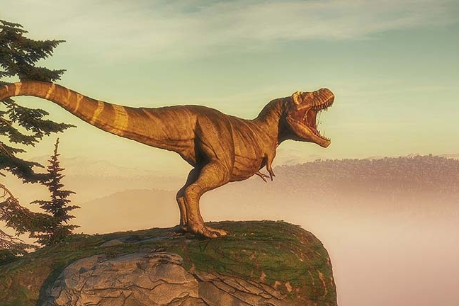 The Tyrannosaurus Rex